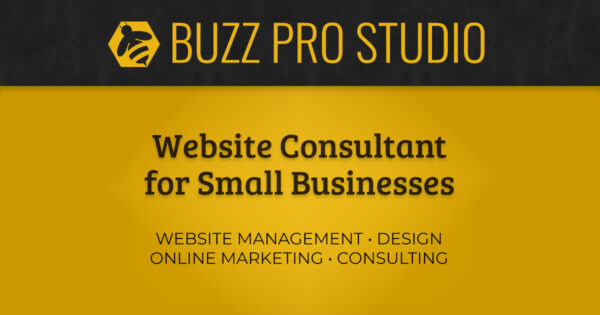 Website Consultant for Small Businesses