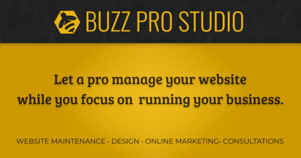 Let a pro manage your website