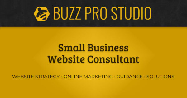 Small Business Website Consultant