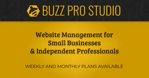 Website management for small businesses